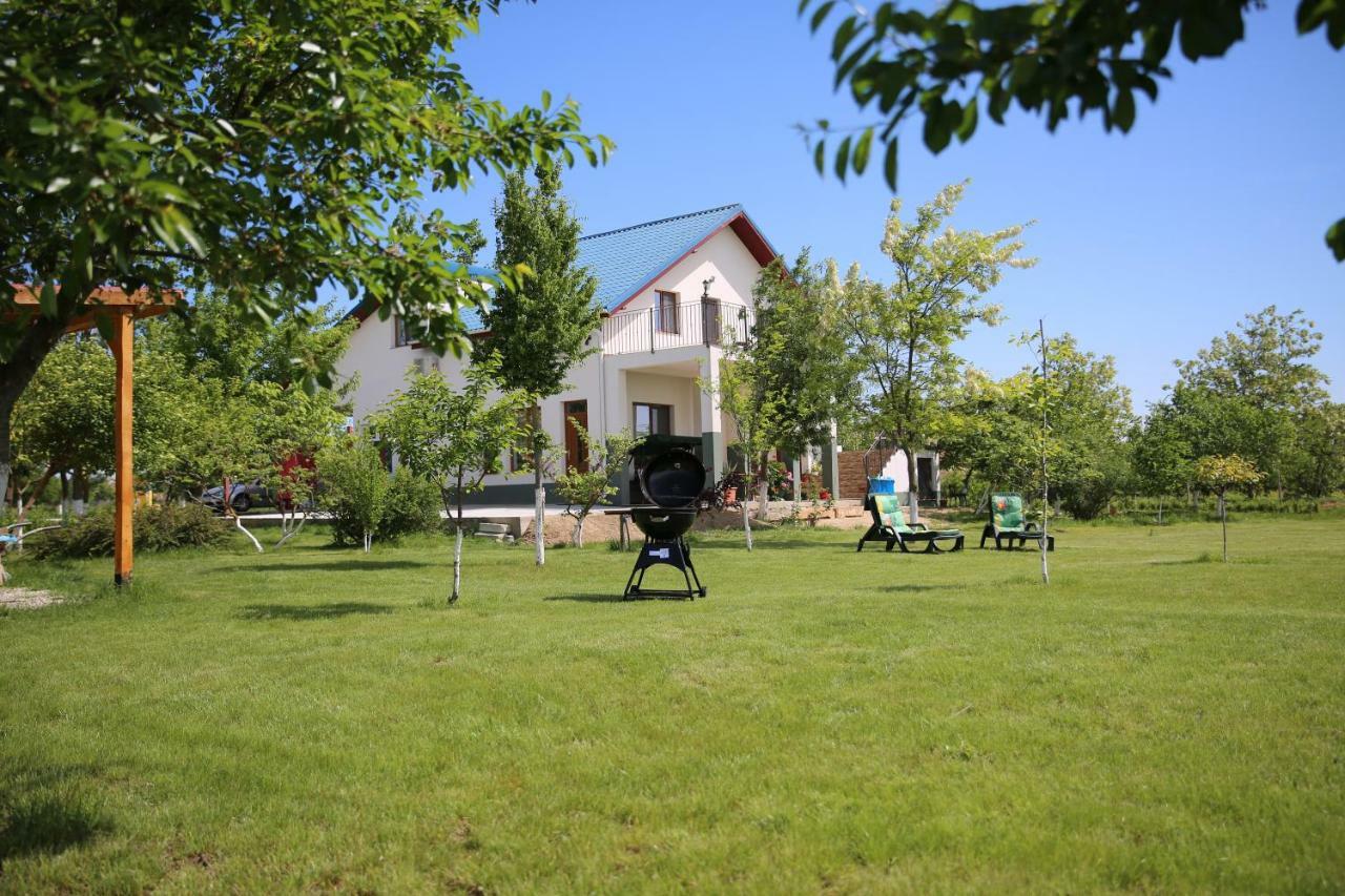 Pensiunea Palaghia Guest house *