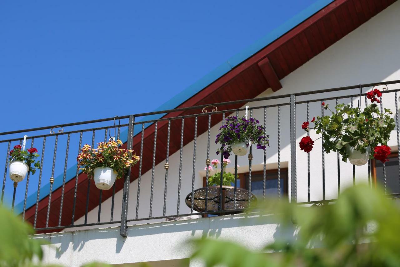Guest house Pensiunea Palaghia