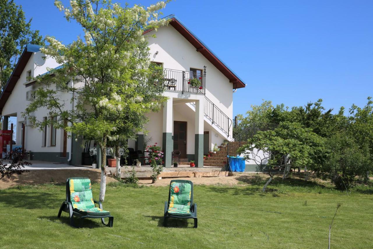 Guest house Pensiunea Palaghia