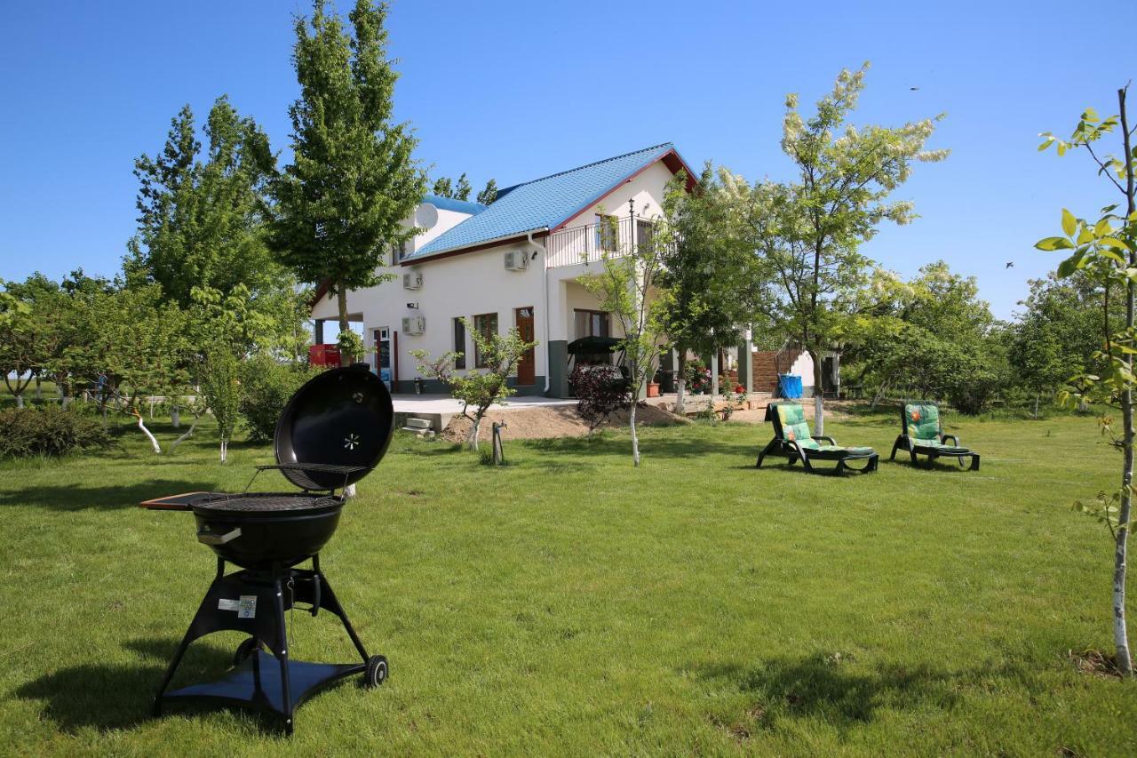 Guest house Pensiunea Palaghia Jurilovca
