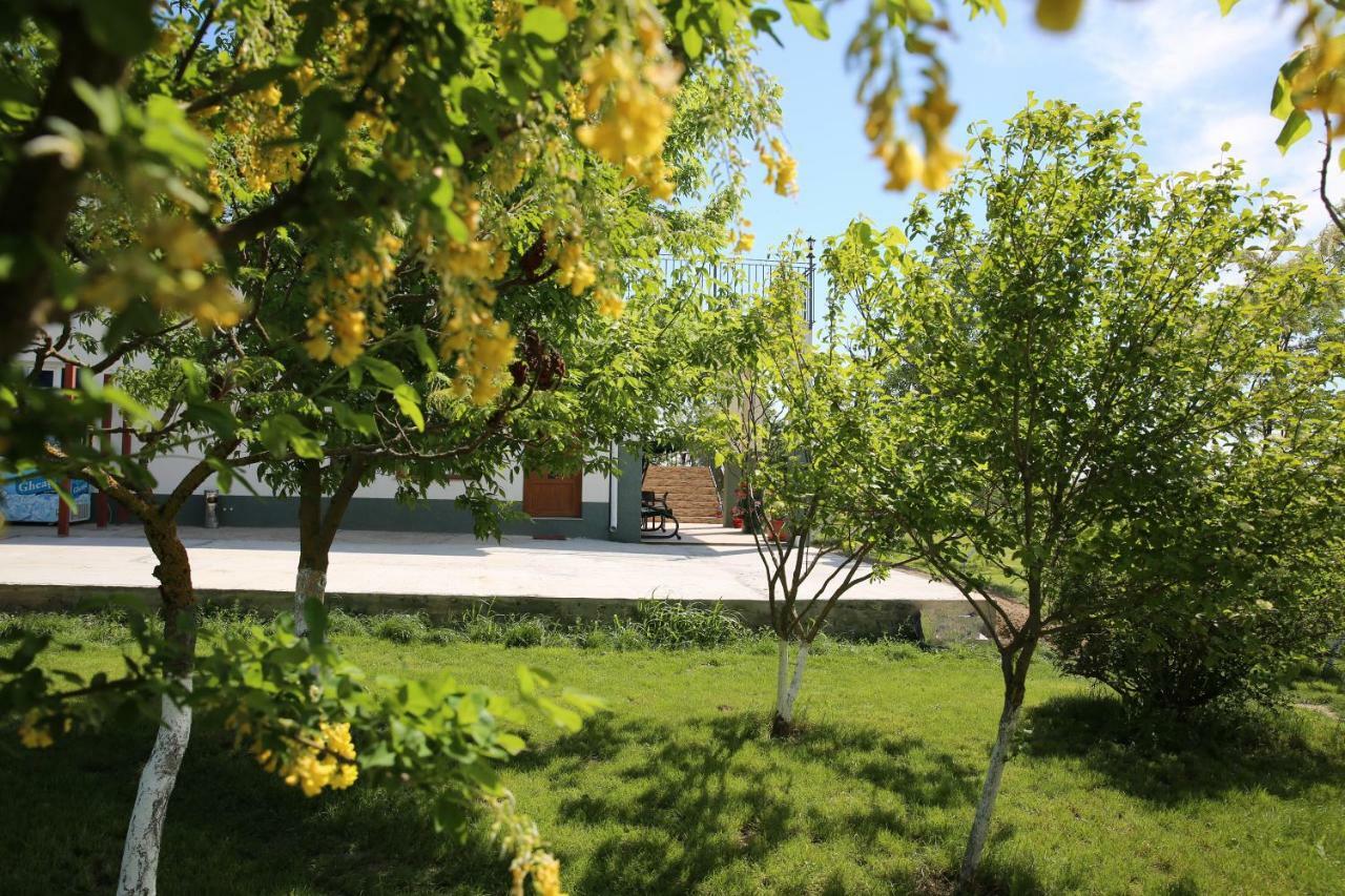 Guest house Pensiunea Palaghia