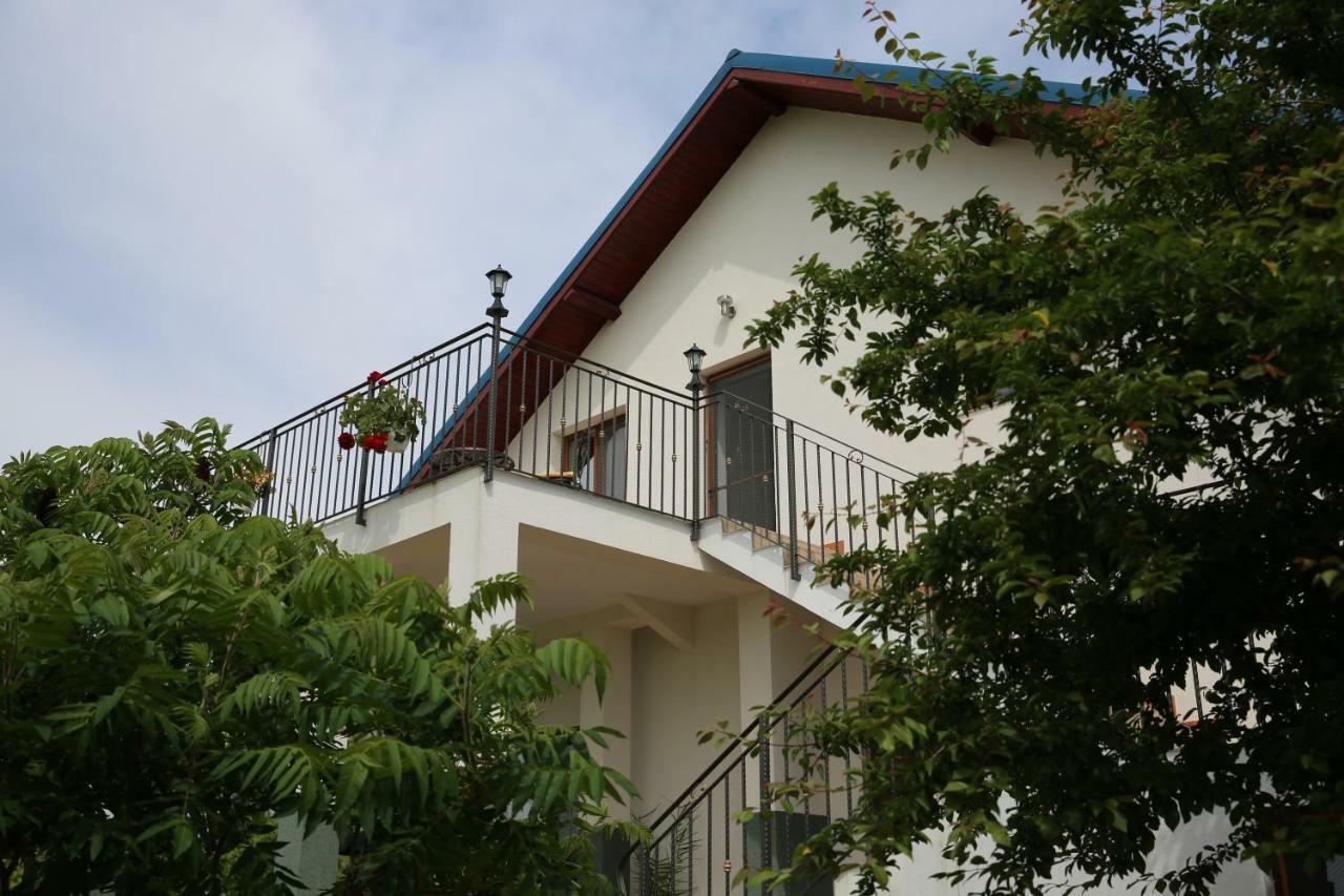 Gasthof Pensiunea Palaghia *